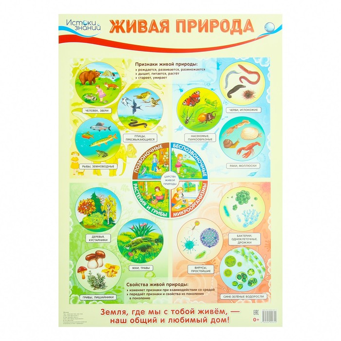 Обложка книги Демонстрационный плакат Живая природа /А2, Автор , издательство Сфера | купить в книжном магазине Рослит