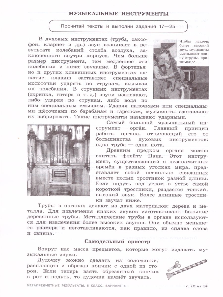 картинка Метапредметные результаты. Стандартизированные материалы для оценки читательской грамотности. 6 класс. Варианты 1-4 от магазина Рослит