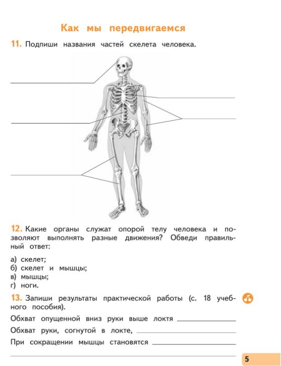 картинка Окружающий мир. Рабочая тетрадь. 3 класс. В 2 ч. Часть 2 от магазина Рослит