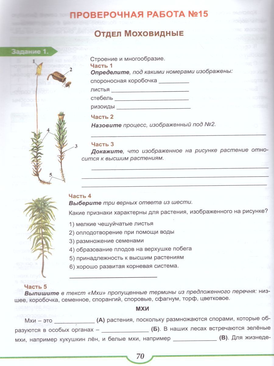 Обложка книги Подготовка к ВПР. Биология 6-7 класс. Растения. Тренажёр. ФГОС, Автор Оданович М.В., издательство Планета | купить в книжном магазине Рослит