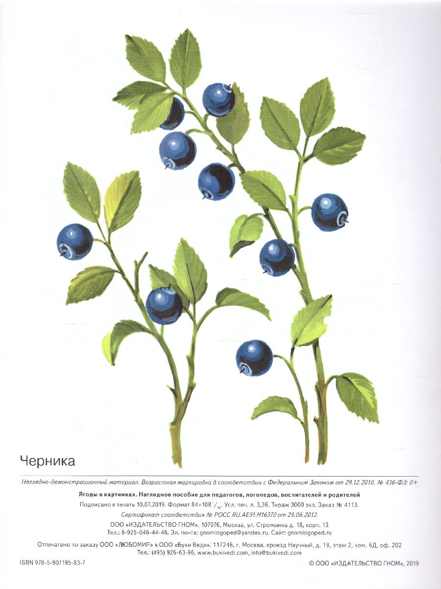 Обложка книги Ягоды в картинках. Наглядное пособие для педагогов, воспитателей, логопедов, родителей, Автор Шорыгина Т.А., издательство ГНОМ | купить в книжном магазине Рослит