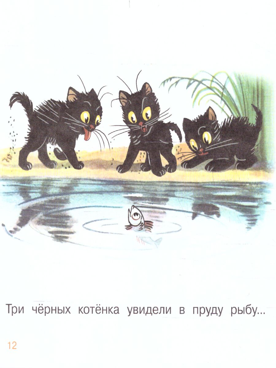 Обложка Три котёнка. Сутеев В.Г. /ПервКнижкиМаленьких, издательство АСТ | купить в книжном магазине Рослит