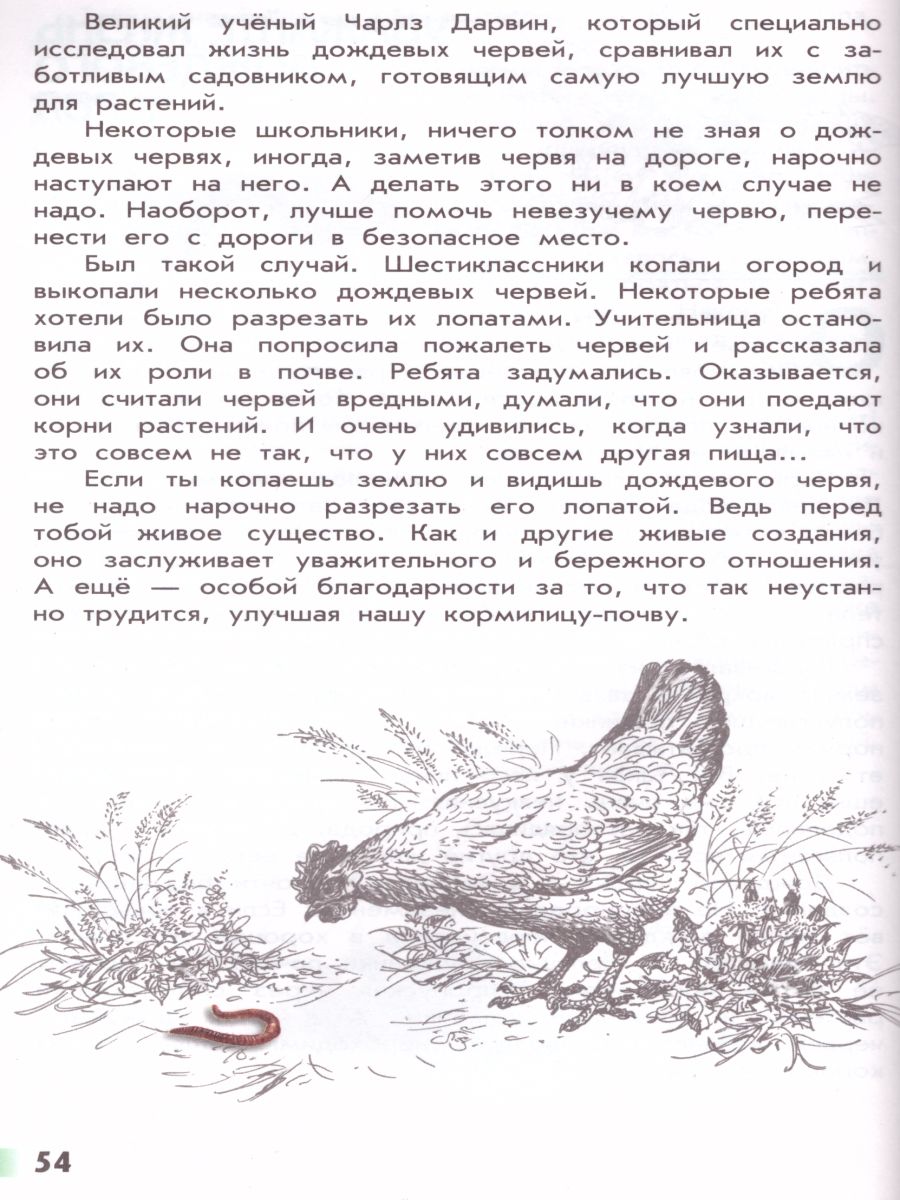 Обложка книги Великан на поляне или первые уроки экологической этики. ФГОС, Автор Плешаков А.А. Румянцев А.А., издательство Просвещение | купить в книжном магазине Рослит
