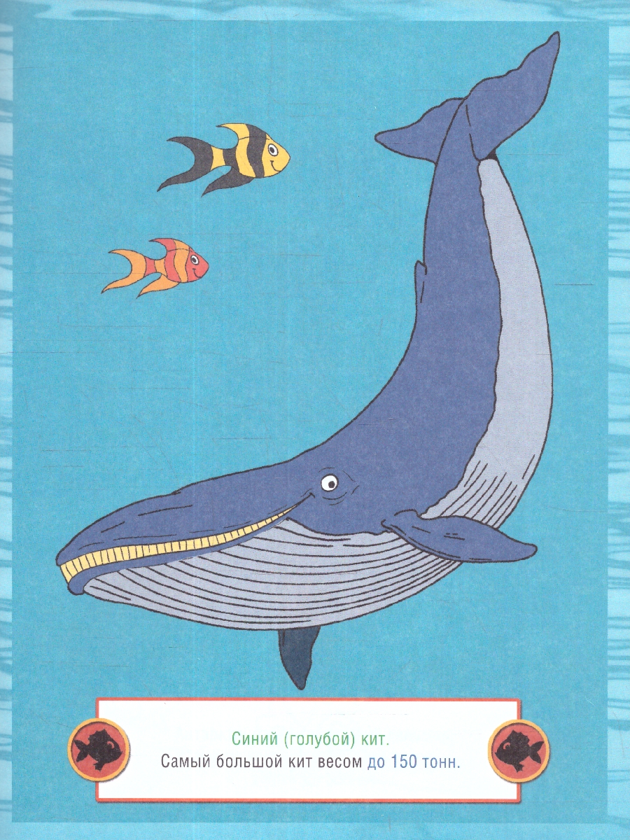 Обложка книги Раскраска детская. Морские обитатели, Автор , издательство РУЗ Ко | купить в книжном магазине Рослит