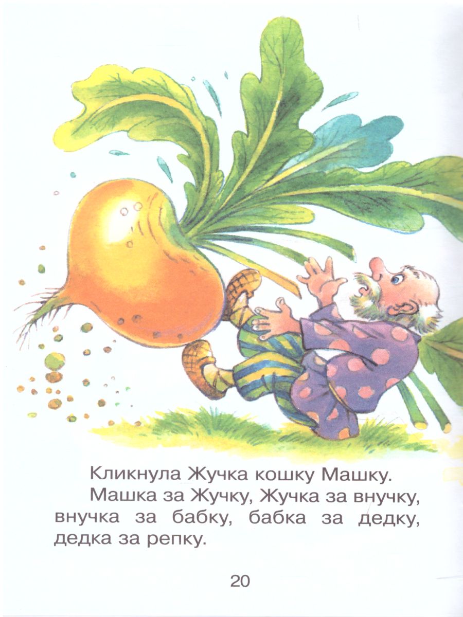 Обложка Сказки народные, издательство Самовар | купить в книжном магазине Рослит