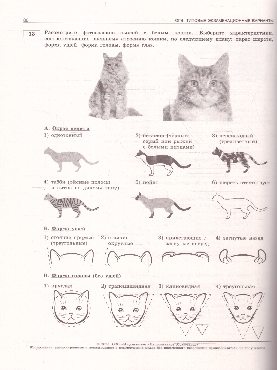 Обложка книги ОГЭ 2025 Биология. 10 вариантов, Автор Рохлов В. С., издательство Национальное образование | купить в книжном магазине Рослит