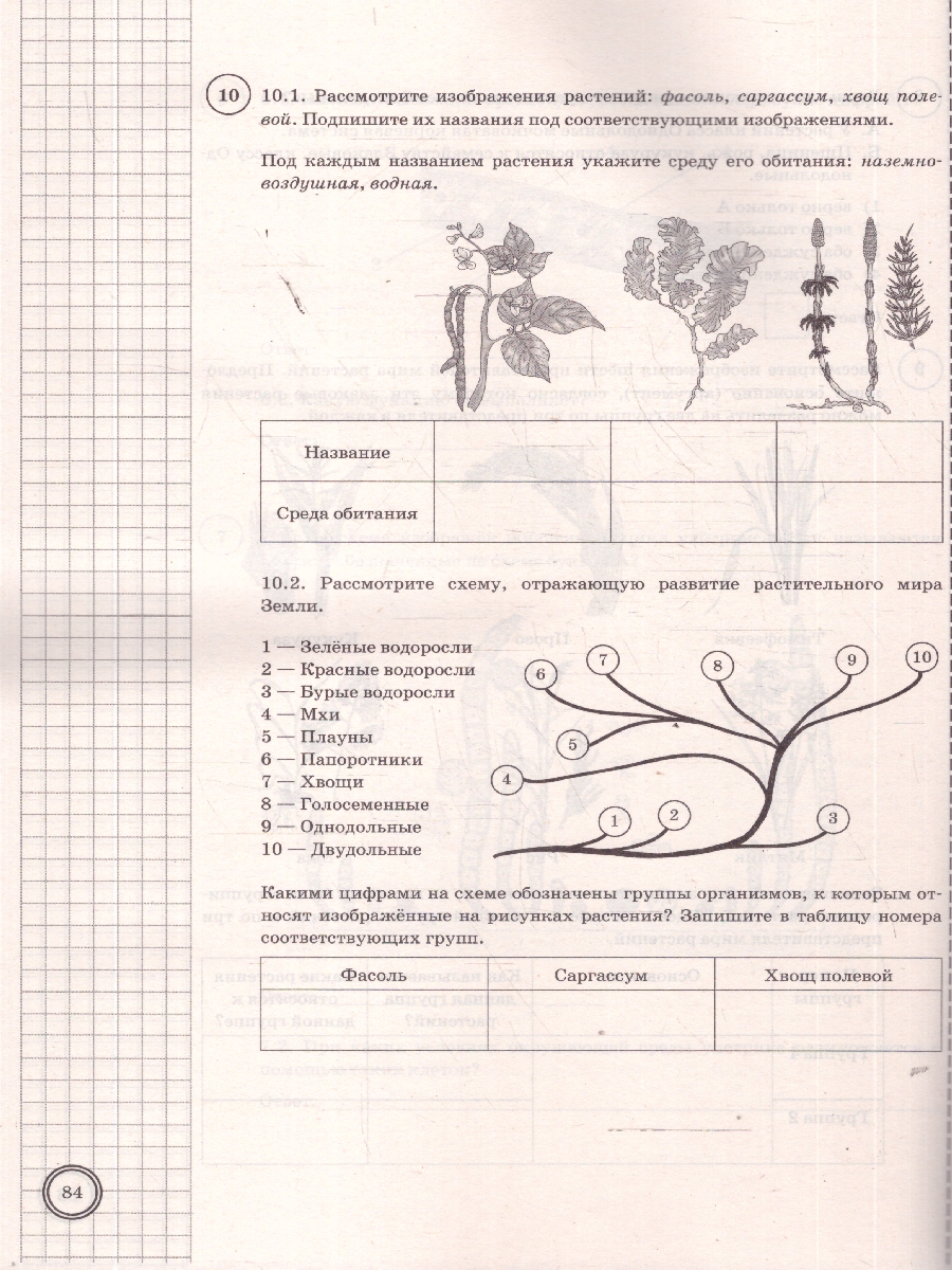 Обложка книги ВПР Биология 7 класс. 10 вариантов с ответами. ФГОС Новый, Автор Мазяркина Т. В., издательство Экзамен | купить в книжном магазине Рослит