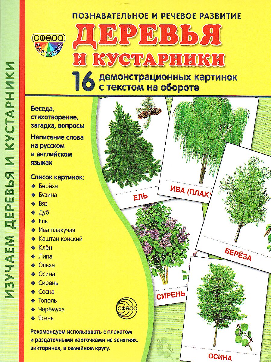 Обложка книги Демонстрационные картинки СУПЕР Деревья и кустарники.16 демонстрационных картинок с текстом. 173х220 мм, Автор , издательство Сфера | купить в книжном магазине Рослит