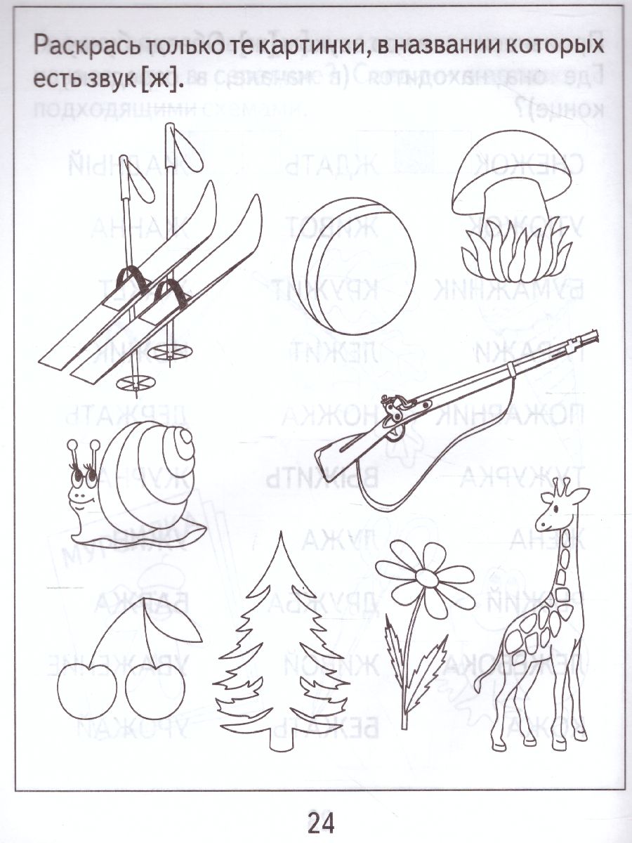 Обложка книги Логопедическая тетрадь на звуки Ш, Ж. Рабочая тетрадь, Автор , издательство Весна-Дизайн | купить в книжном магазине Рослит