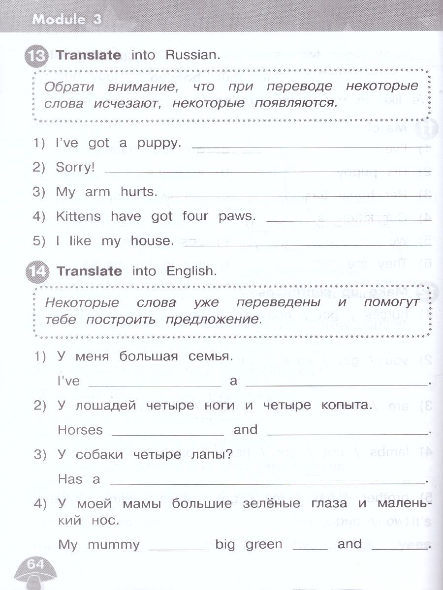 Обложка книги Английский язык 2 класс. Сборник упражнений (ФП2022), Автор Котова М.П., издательство Просвещение | купить в книжном магазине Рослит