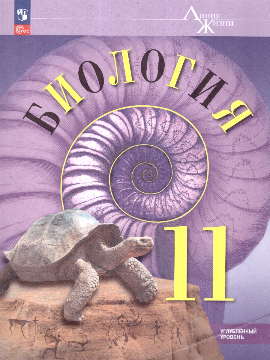 Обложка книги Биология 11 класс. Углубленный уровень. Учебное пособие. ФГОС, Автор Пасечник В. В.; Каменский А. А.; Рубцов А. М., издательство Просвещение | купить в книжном магазине Рослит