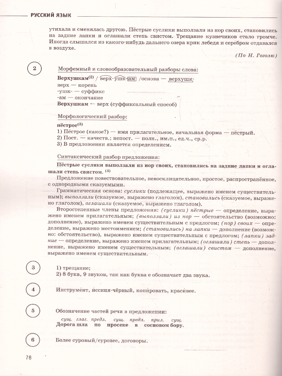 Обложка книги ВПР Русский язык 6 класс. Сборник вариантов проверочных работ, Автор Текучева И. В., издательство АСТ | купить в книжном магазине Рослит