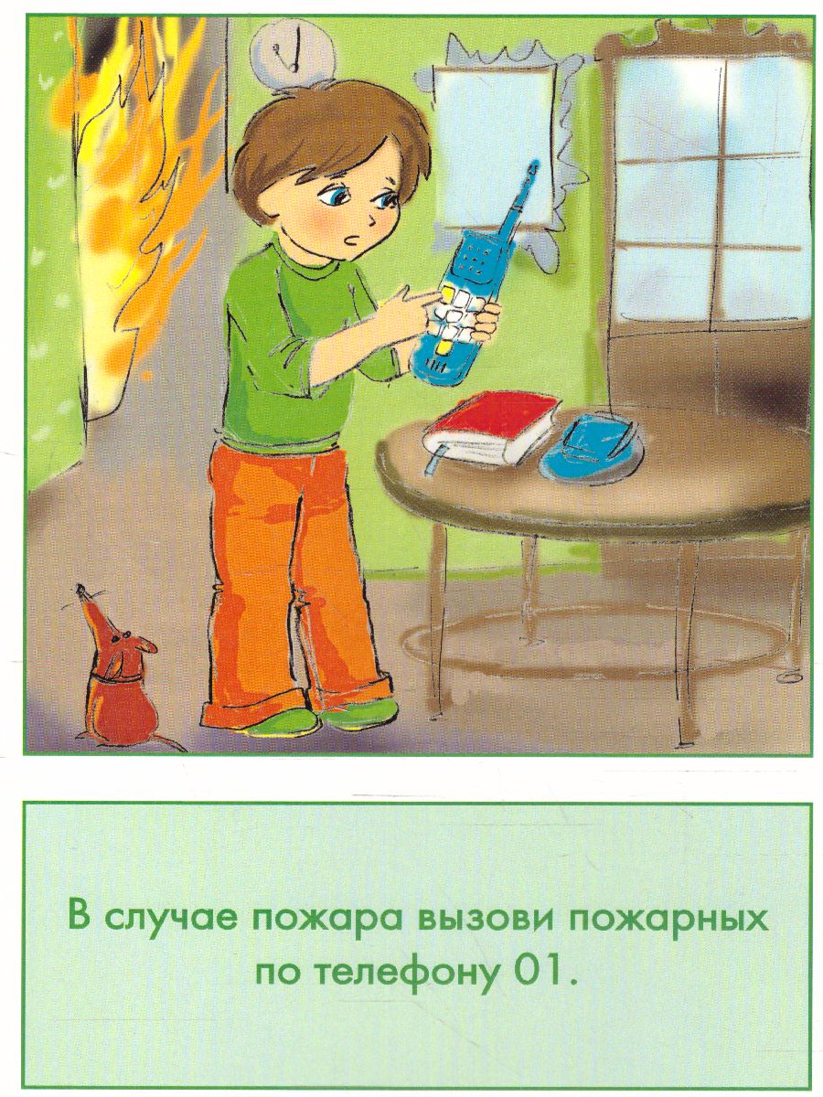 Обложка книги Дидактические карточки "Правила пожарной безопасности", Автор , издательство Маленький гений-Пресс | купить в книжном магазине Рослит