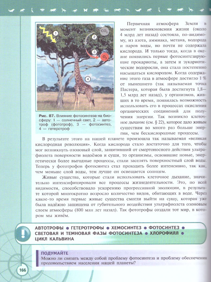 Обложка книги Биология 10 класс. Базовый уровень. Учебник. УМК "Линия жизни" (ФП2022), Автор Пасечник В.В. Каменский А.А. Рубцов A.M., издательство Просвещение | купить в книжном магазине Рослит