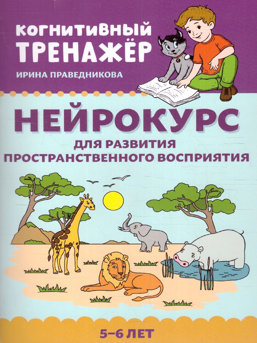 Обложка книги Нейрокурс для развития пространственного восприятия: 5-6 лет, Автор Праведникова Ирина Игоревна, издательство Феникс ТД                                          | купить в книжном магазине Рослит