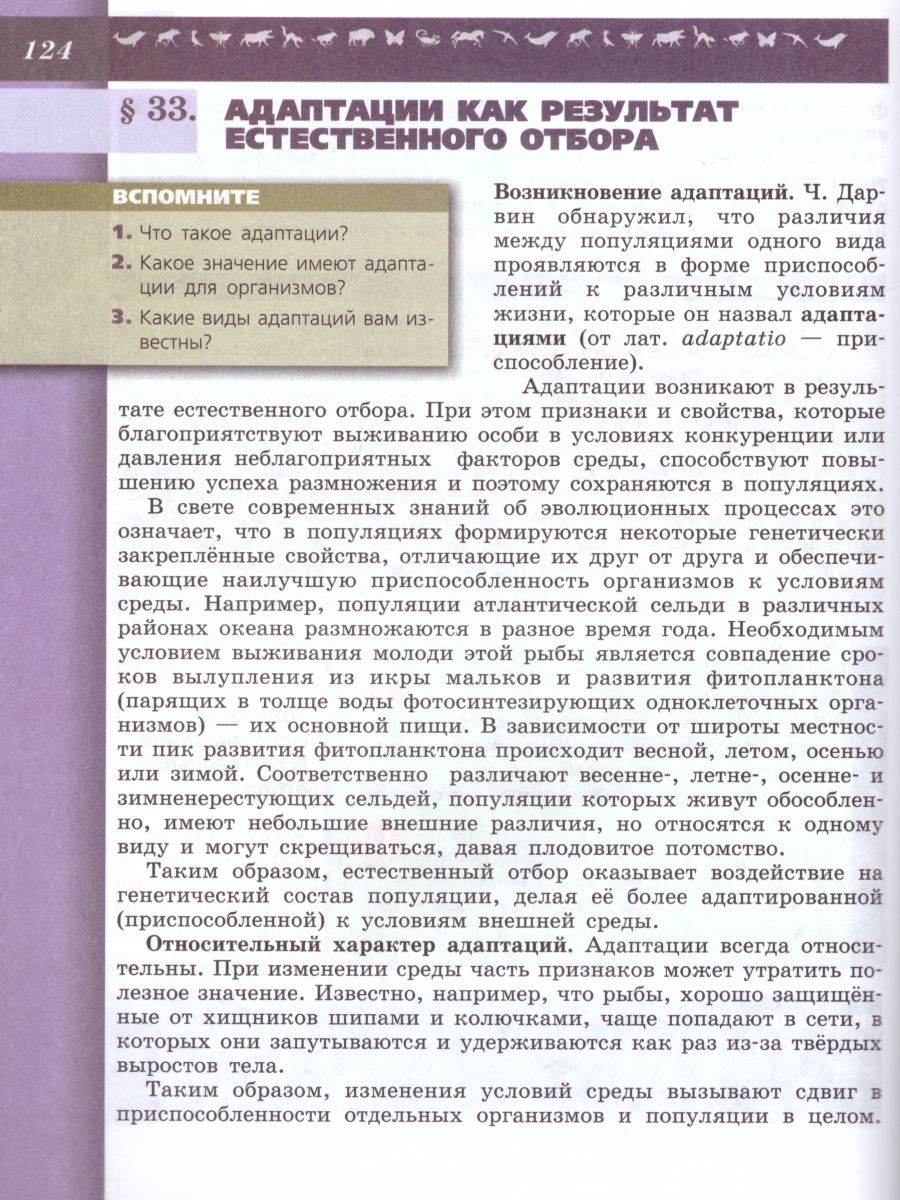Обложка книги Биология 9 класс. Учебник. ФГОС, Автор Пасечник В.В. Каменский А.А. Швецов Г.Г., издательство Просвещение | купить в книжном магазине Рослит