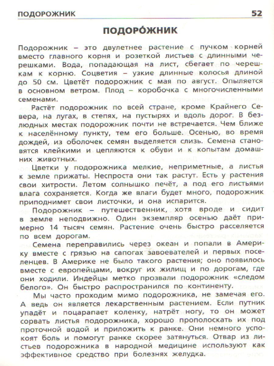 Обложка книги Растения России, Автор Васильева Н.Ю., издательство Вако | купить в книжном магазине Рослит