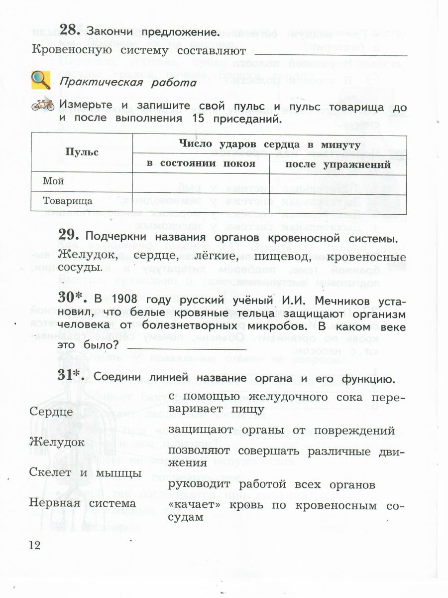Обложка книги Окружающий мир 4 класс. Комплект из 2-х рабочих тетрадей. Часть 1. ФГОС, Автор Виноградова Н.Ф. Калинова Г.С., издательство Просвещение/Союз                                   | купить в книжном магазине Рослит