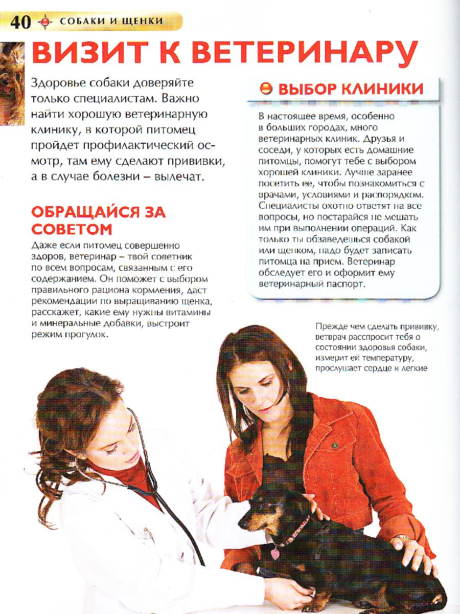 Обложка Собаки и щенки. Детская энциклопедия, издательство РОСМЭН | купить в книжном магазине Рослит