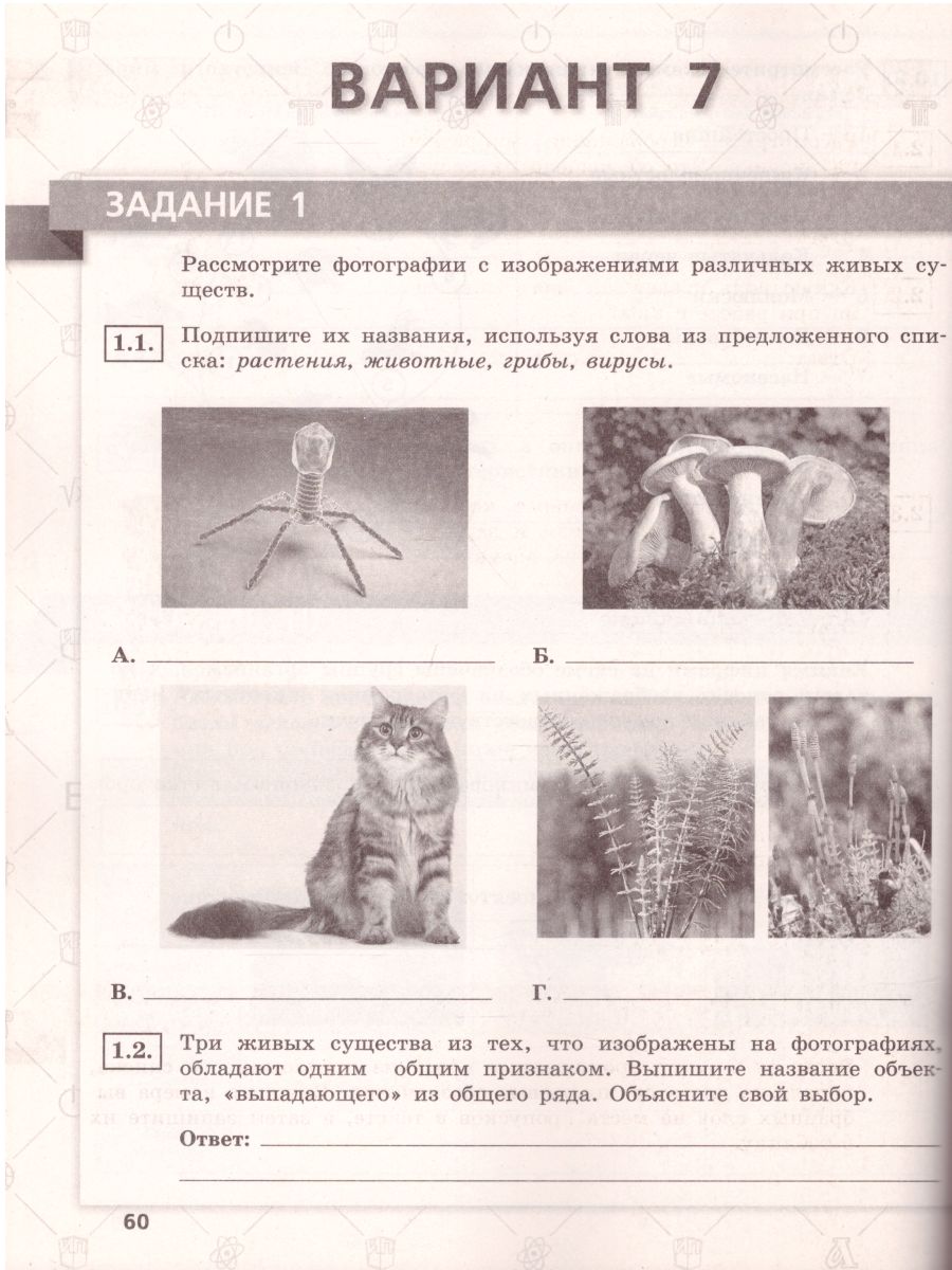 Обложка книги ВПР Биология 6 класс 10 вариантов, Автор Морсова С.Г., издательство Просвещение/Союз                                   | купить в книжном магазине Рослит