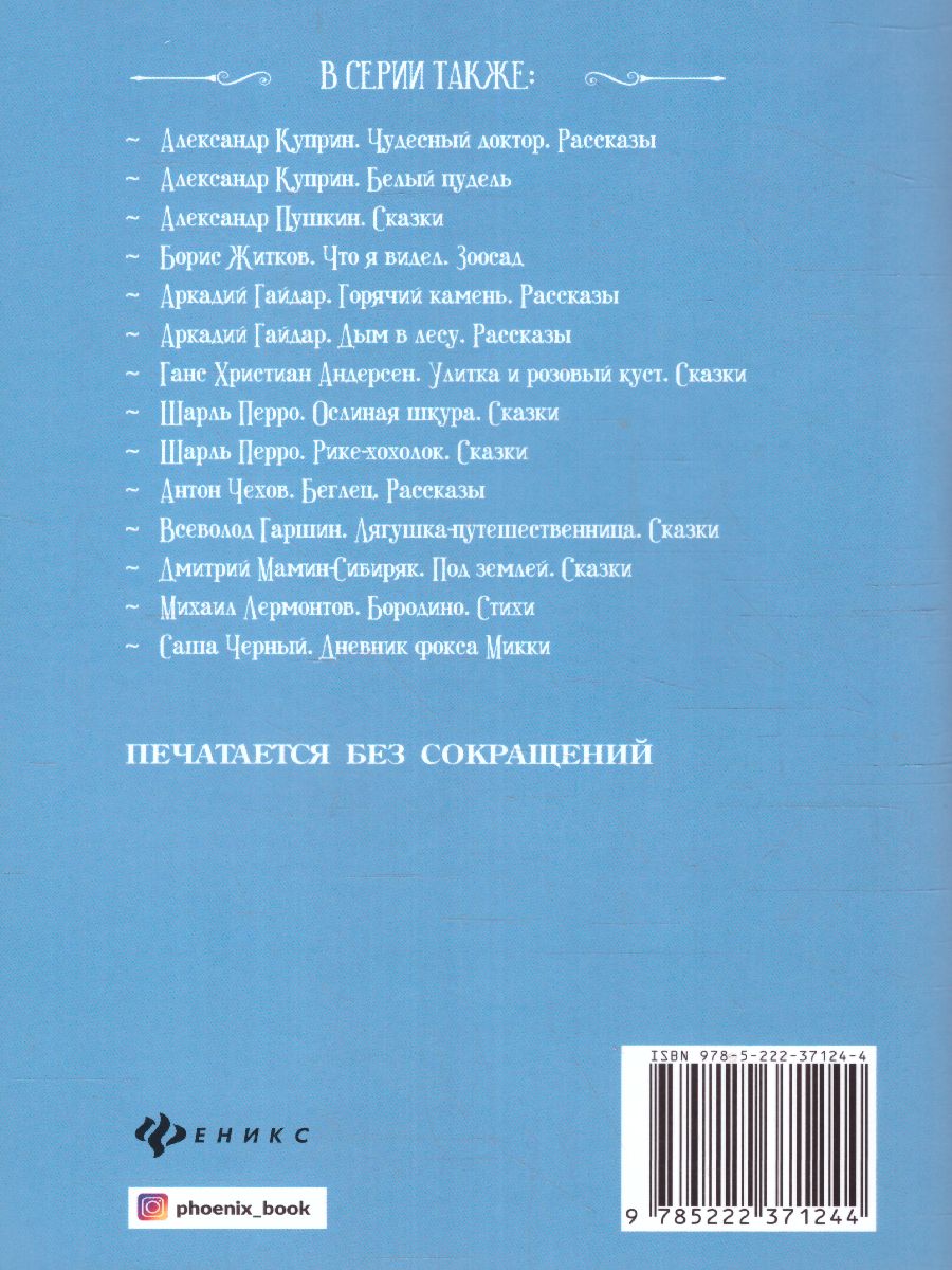 Обложка книги Что я видел Железная дорога, Автор Житков Б.С., издательство Феникс ТД                                          | купить в книжном магазине Рослит