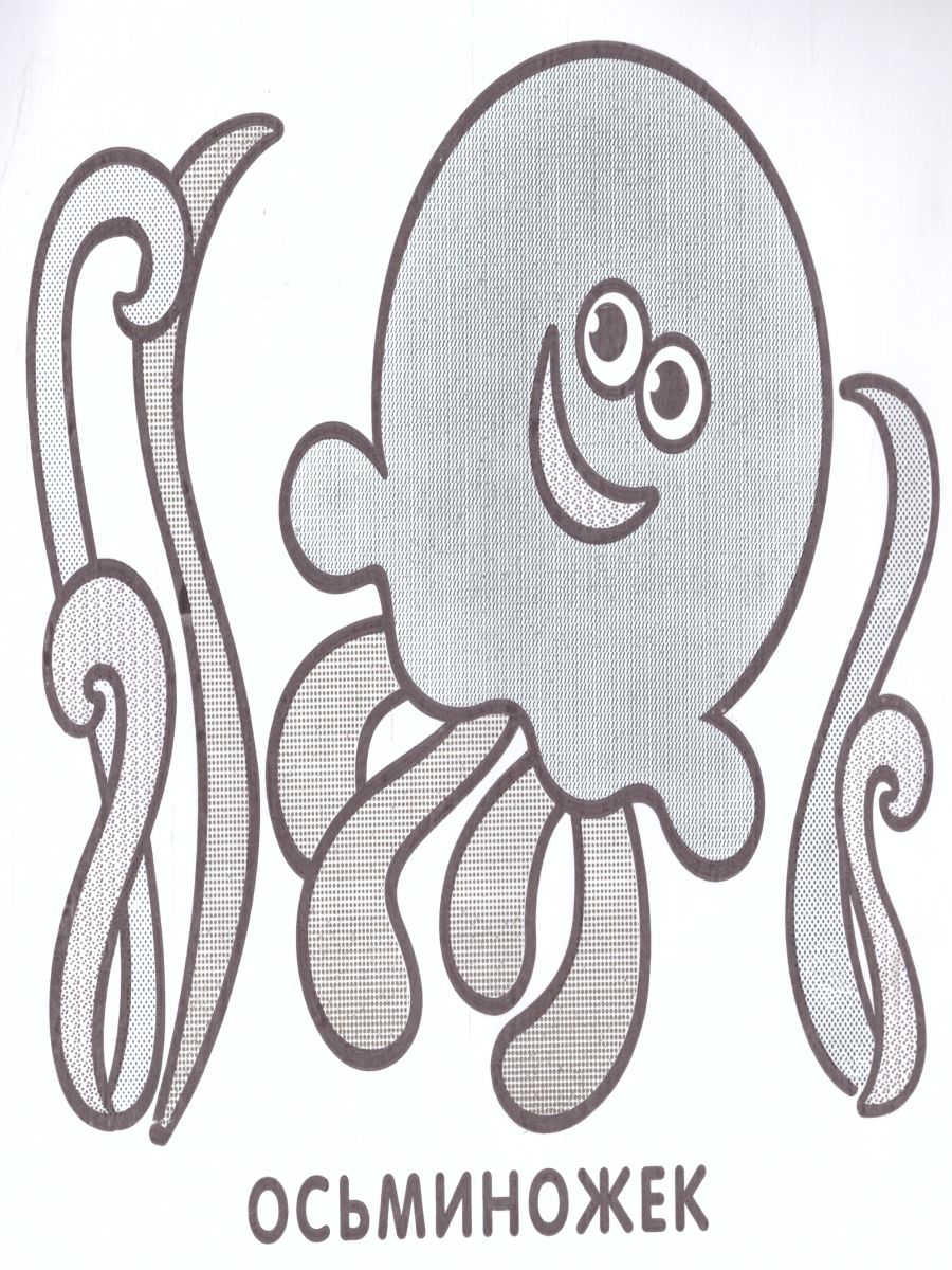 Обложка Водная раскраска Медвежонок и мед, издательство Самовар | купить в книжном магазине Рослит