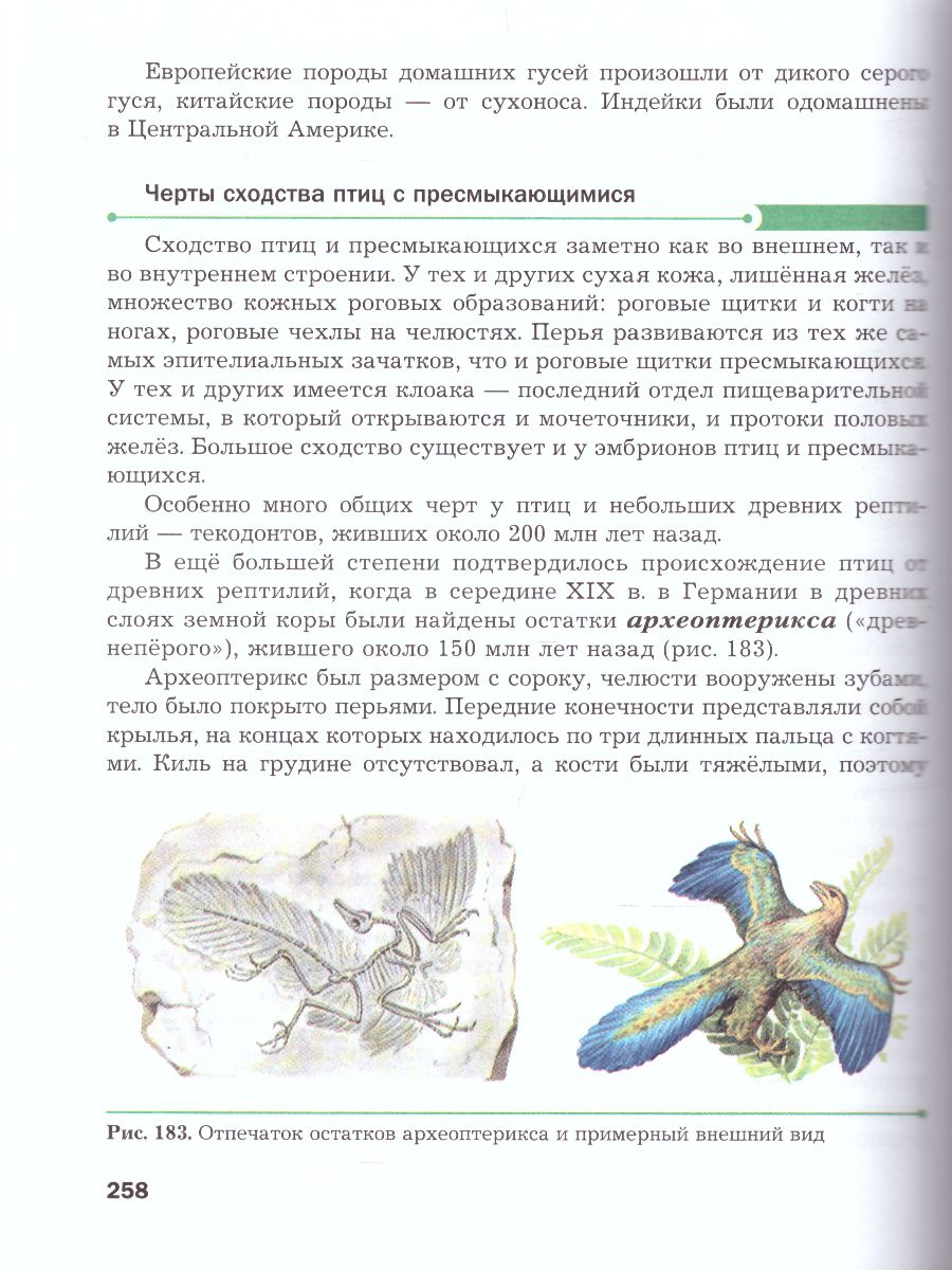 Обложка книги Биология 8 класс. Учебник. ФГОС, Автор Константинов В.М. Бабенко В.Г. Кучменко В.С., издательство Просвещение | купить в книжном магазине Рослит