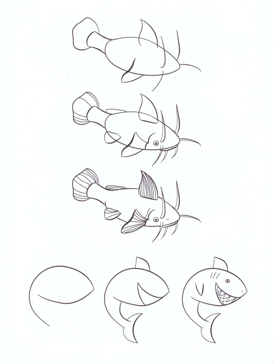 Обложка книги Рисуем рыб по алгоритмическим схемам (5-7 лет). ФГОС, Автор Шайдурова Н.В., издательство ДЕТСТВО-ПРЕСС | купить в книжном магазине Рослит