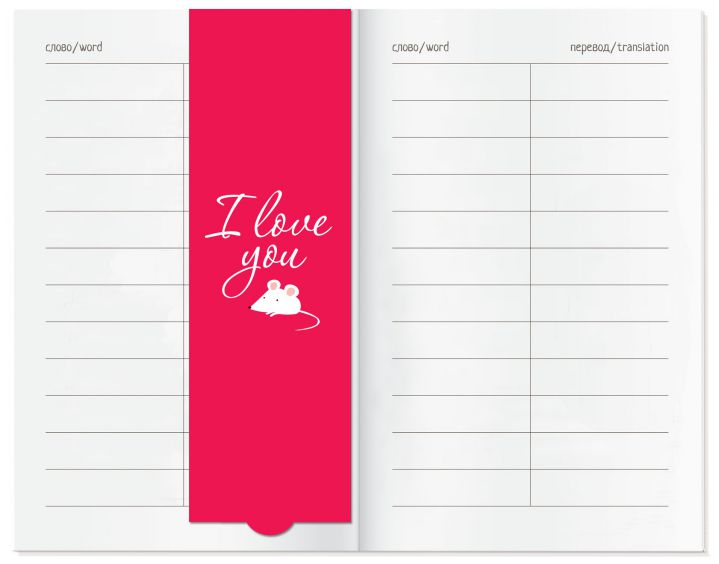 Обложка книги Тетрадь для записи иностранных слов с клапанами"Скажите СЫР", Автор , издательство Айрис | купить в книжном магазине Рослит