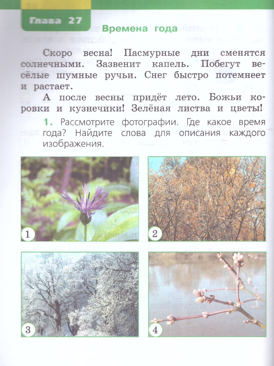 Обложка книги Окружающий мир 1 класс. Учебное пособие. В двух частях. Часть 2, Автор Чудинова Е. В. Букварева Е. Н., издательство Просвещение/Союз                                   | купить в книжном магазине Рослит