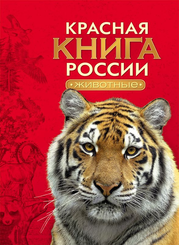 Обложка Красная книга России. Животные, издательство РОСМЭН | купить в книжном магазине Рослит