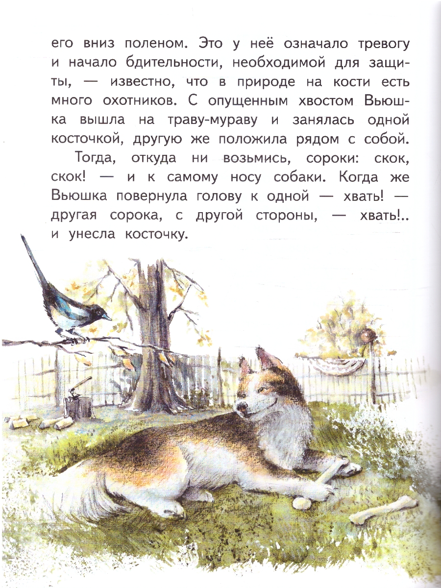 Обложка книги Ребята и утята. Рассказы. Пришвин М.М. (М-Парк), Автор Пришвин М.М., издательство М-Парк                                             | купить в книжном магазине Рослит