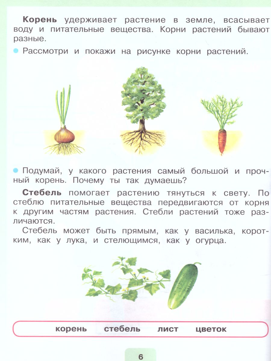 Обложка книги Мир природы и человека 2 класс. Учебник в 2-х частях. Часть 2 (для обучающихся с интеллектуальными нарушениями), Автор Матвеева Н.Б. Ярочкина И.А. Попова М.А., издательство Просвещение | купить в книжном магазине Рослит