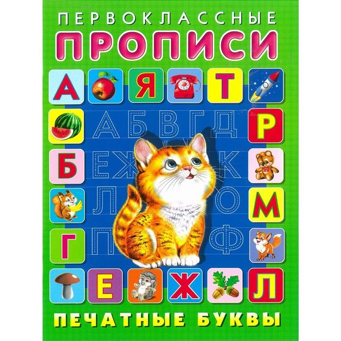 Обложка Первоклассные прописи. Печатные буквы, издательство Фламинго | купить в книжном магазине Рослит