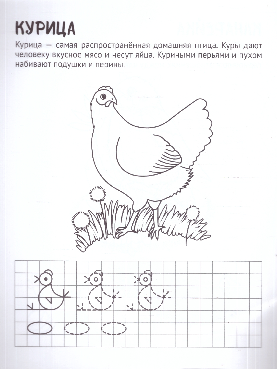Обложка книги Готовим руку к письму.Раскраска с прописями.Домашние питомцы, Автор Цветкова Т. В., издательство Сфера | купить в книжном магазине Рослит