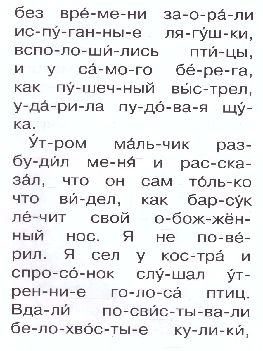 Обложка Барсучий нос  /Сам читаю по слогам, издательство АСТ | купить в книжном магазине Рослит