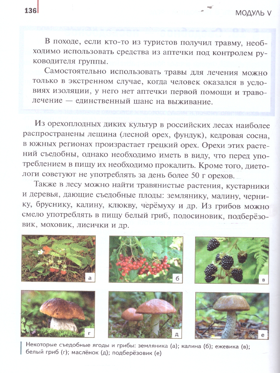 Обложка книги Основы безопасности и защиты Родины 6 класс. Учебное пособие, Автор Гололобов Н. В. Егоров С. Н. Маслов М. В. и др. под редакцией Егорова С. Н. Тимошева Р. М., издательство Просвещение | купить в книжном магазине Рослит