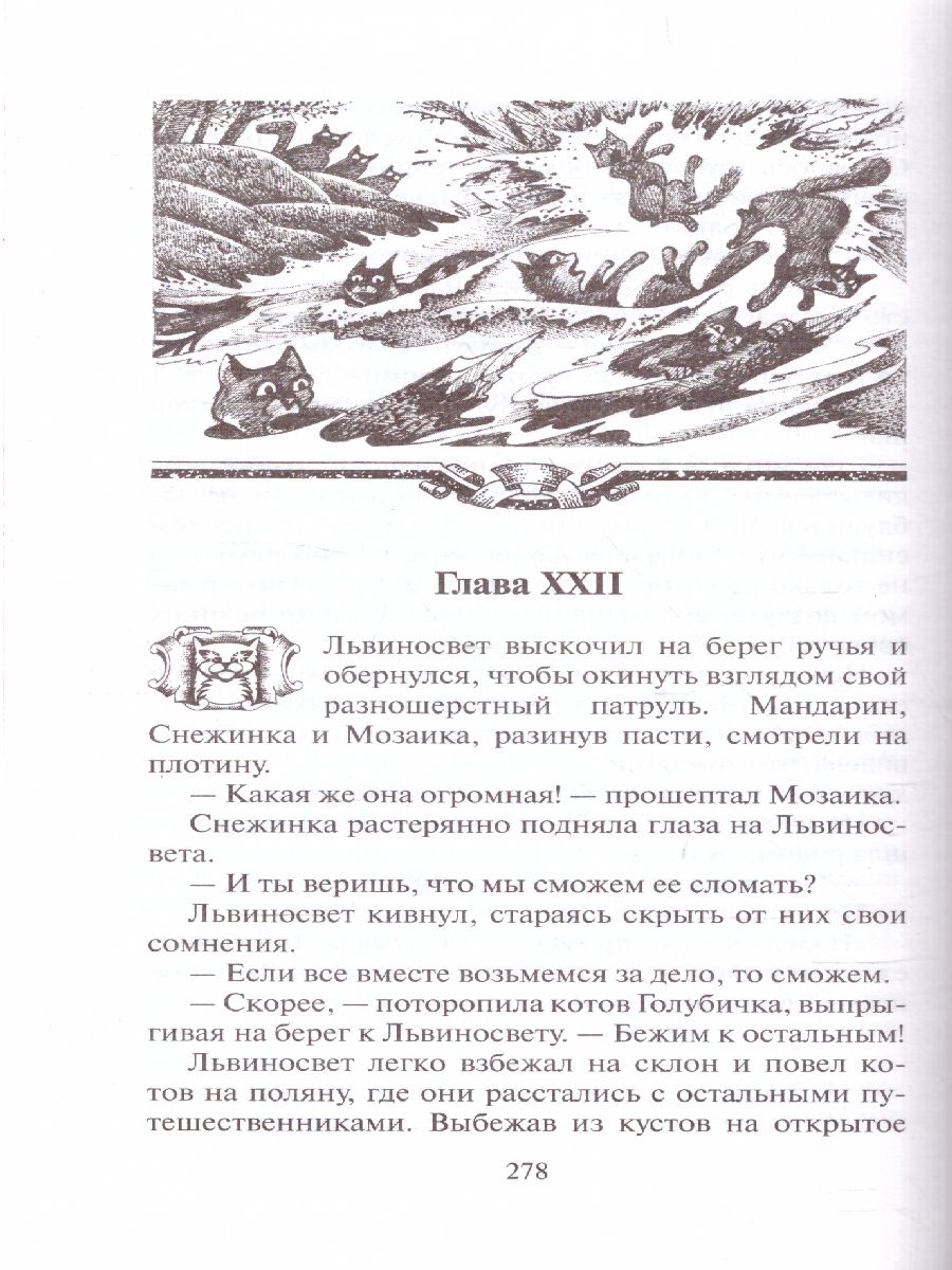 Обложка Коты-воители. Четвертый оруженосец, издательство Просвещение/Союз                                   | купить в книжном магазине Рослит