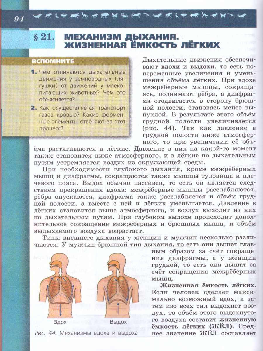 Обложка книги Биология 8 класс. Учебник. ФГОС, Автор Пасечник В.В. Каменский А.А. Швецов Г.Г., издательство Просвещение | купить в книжном магазине Рослит