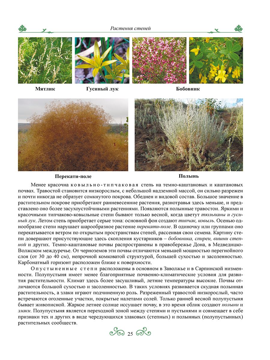 Обложка книги Краеведение: биологич. и ландшафтное разнообразие природы Волгогр. обл. 6 кл. Р/Т 3-е изд., Автор Оданович, издательство Планета | купить в книжном магазине Рослит