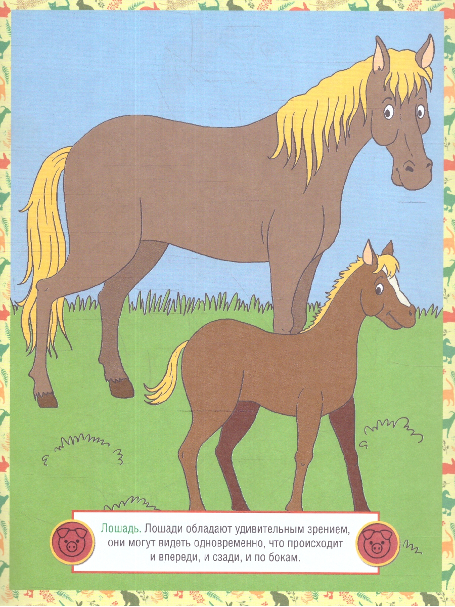 Обложка книги Раскраска детская. Домашние животные, Автор , издательство РУЗ Ко | купить в книжном магазине Рослит