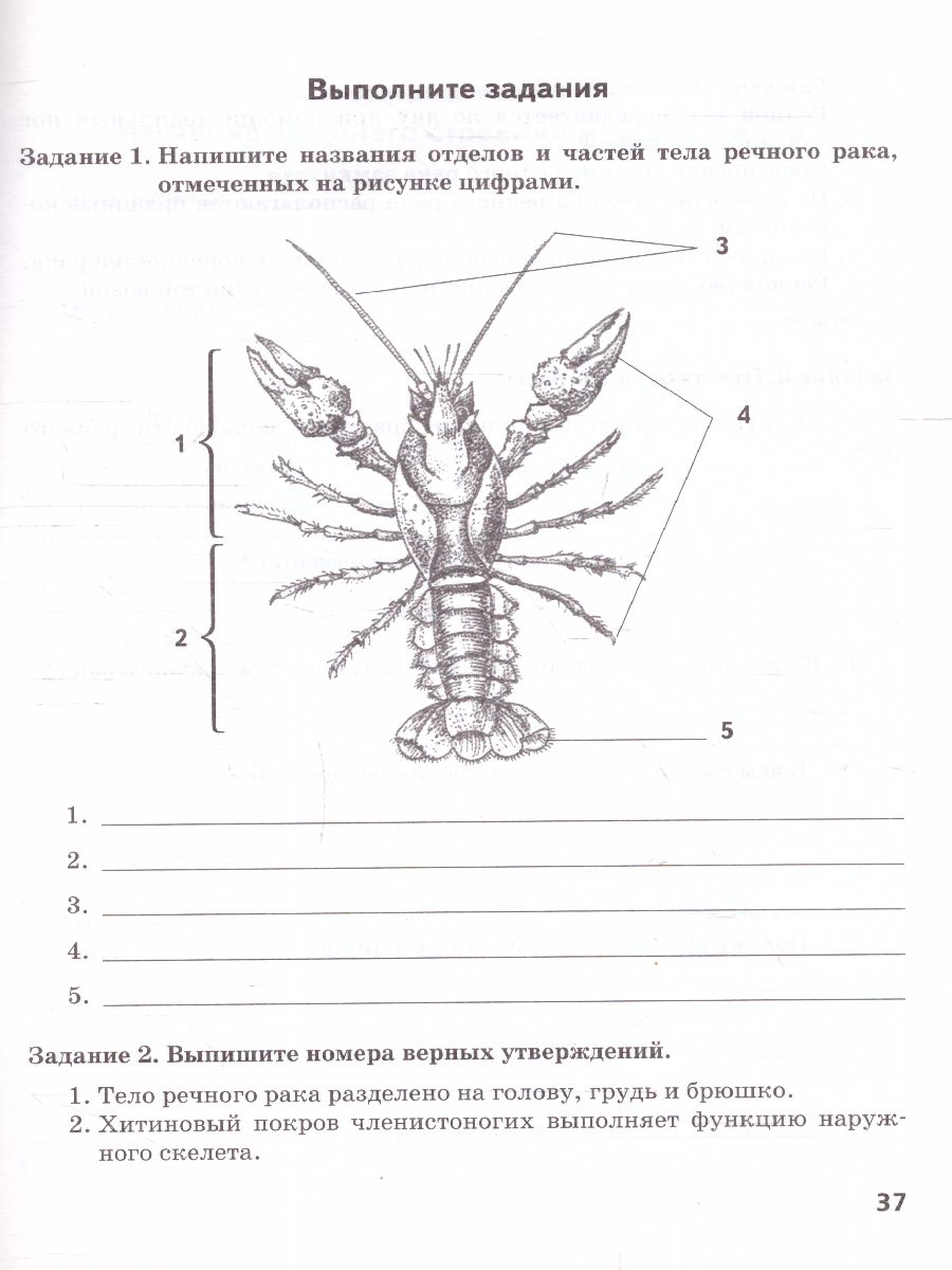 Обложка книги Криксунов Биология 8 кл. Тетрадь для лабораторных работ. ФГОС (РС), Автор Амахина Ю.В., издательство Русское слово | купить в книжном магазине Рослит