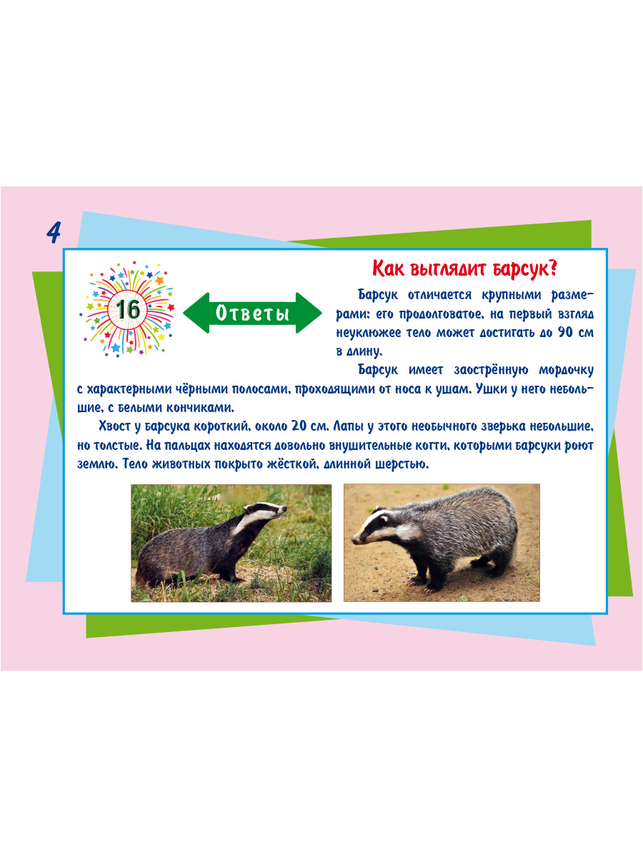 Обложка книги Математический счёт для любознаек: от 0 до 100. Четвёртый уровень. Книга с мобильным приложением, Автор Буряк М.В., издательство Планета | купить в книжном магазине Рослит