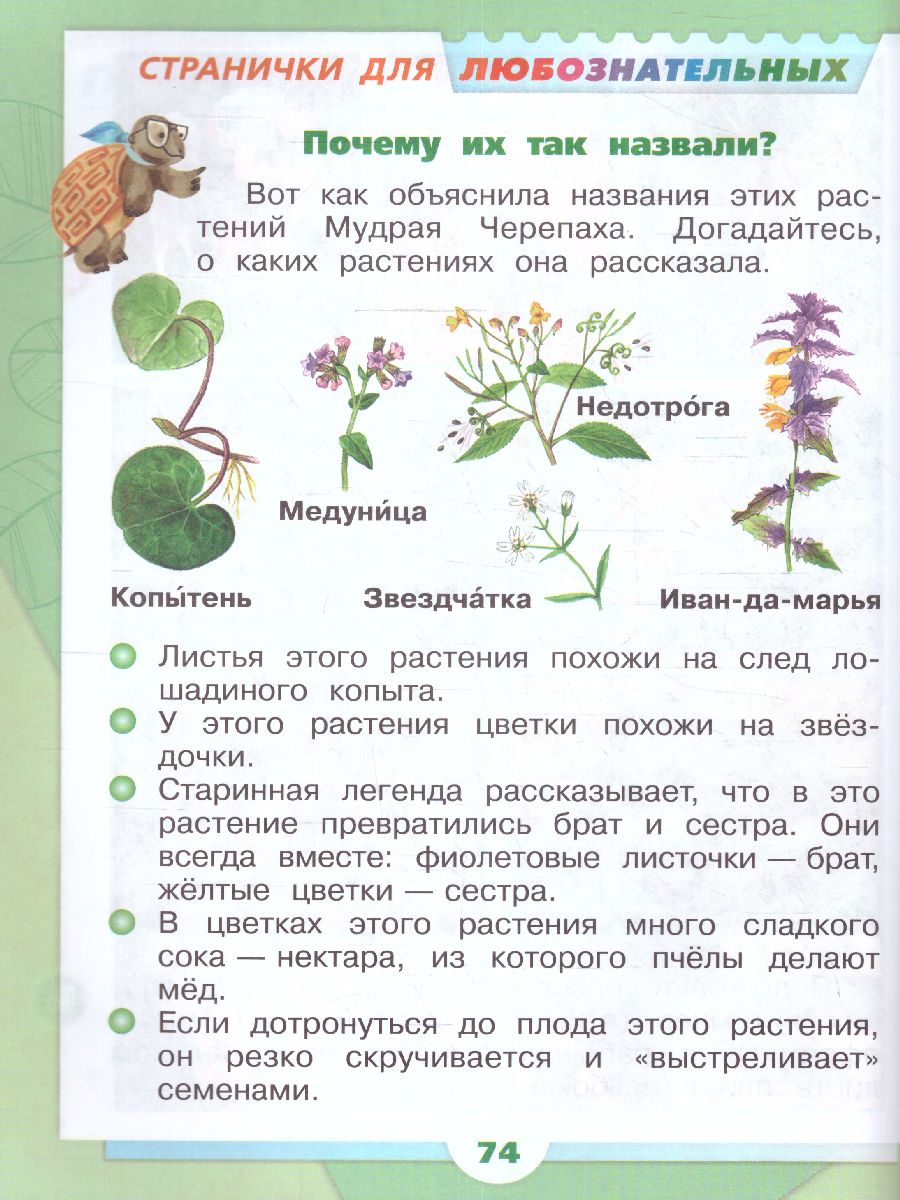 картинка Окружающий мир. 1 класс. Учебник. В 2 ч. Часть 2 от магазина Рослит