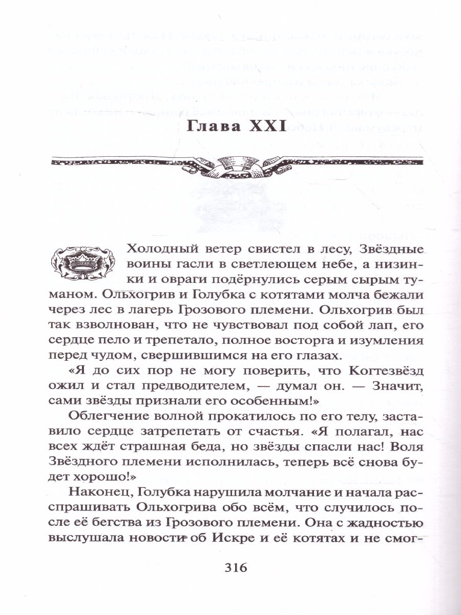 Обложка Коты-воители. Огненная река (цикл "Видение теней"), издательство Просвещение/Союз                                   | купить в книжном магазине Рослит