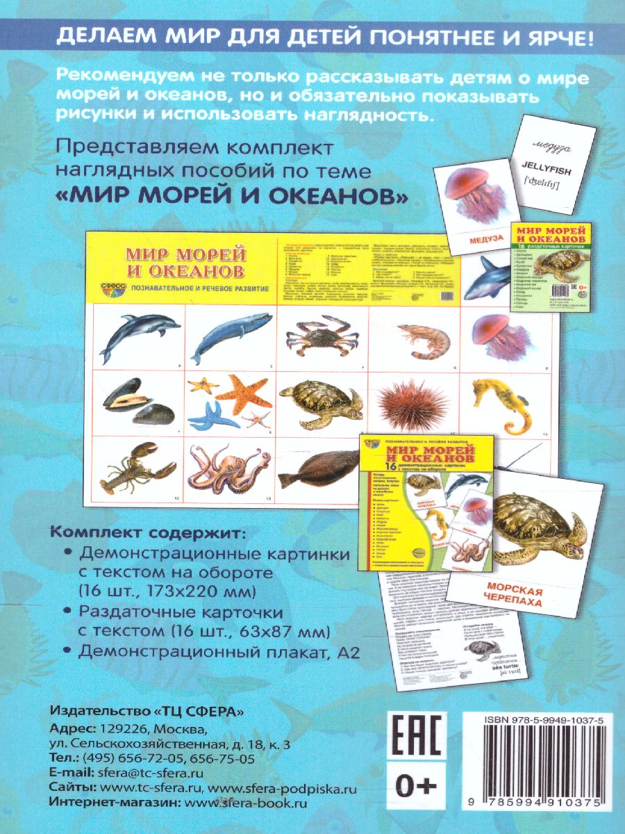 Обложка книги Беседы о мире морей и океанов, Автор Шорыгина Т.А., издательство Сфера | купить в книжном магазине Рослит