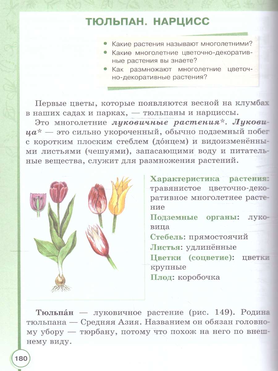 Обложка книги Биология 7 класс. Учебное пособие. Для обучающихся с интеллектуальными нарушениями, Автор Шевырёва Т.В.; Соломина Е.Н., издательство Просвещение | купить в книжном магазине Рослит