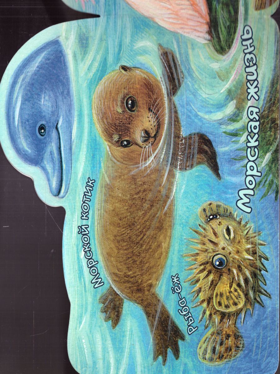 Обложка В море. Павлова К.А./ВеселыеЛесенки (АСТ), издательство АСТ | купить в книжном магазине Рослит