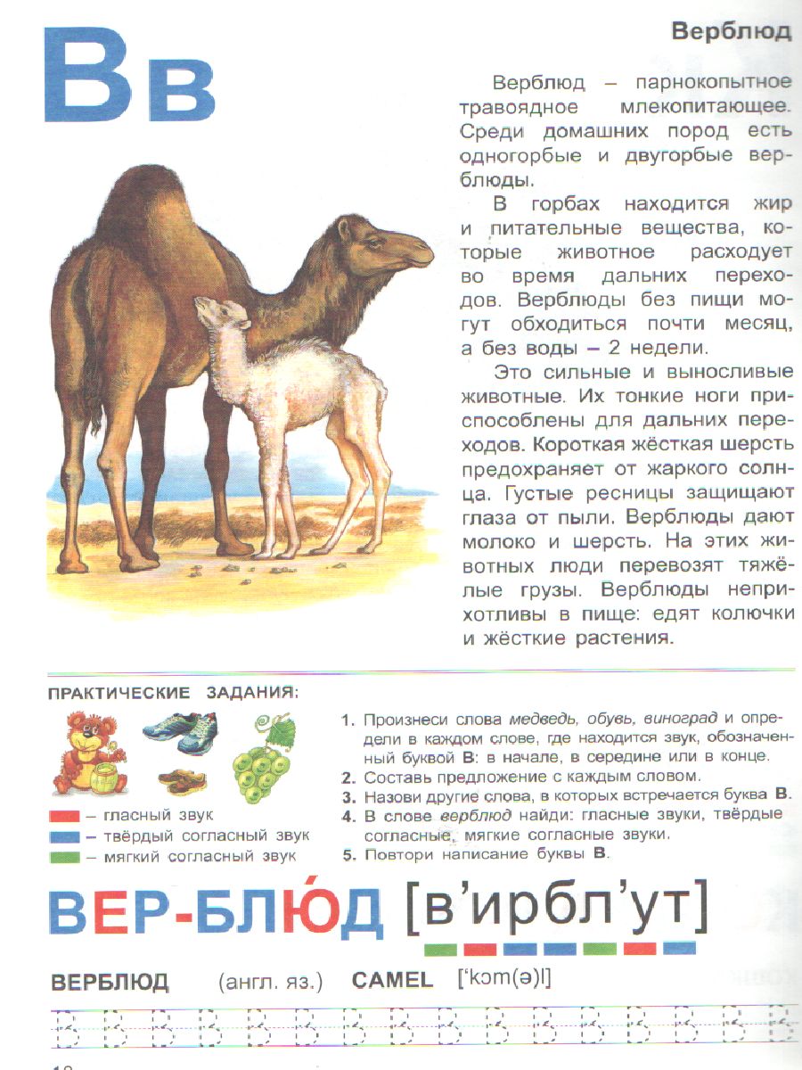 Обложка книги Тетрадь общения и развития детей "Домашние животные", Автор , издательство Страна фантазий | купить в книжном магазине Рослит
