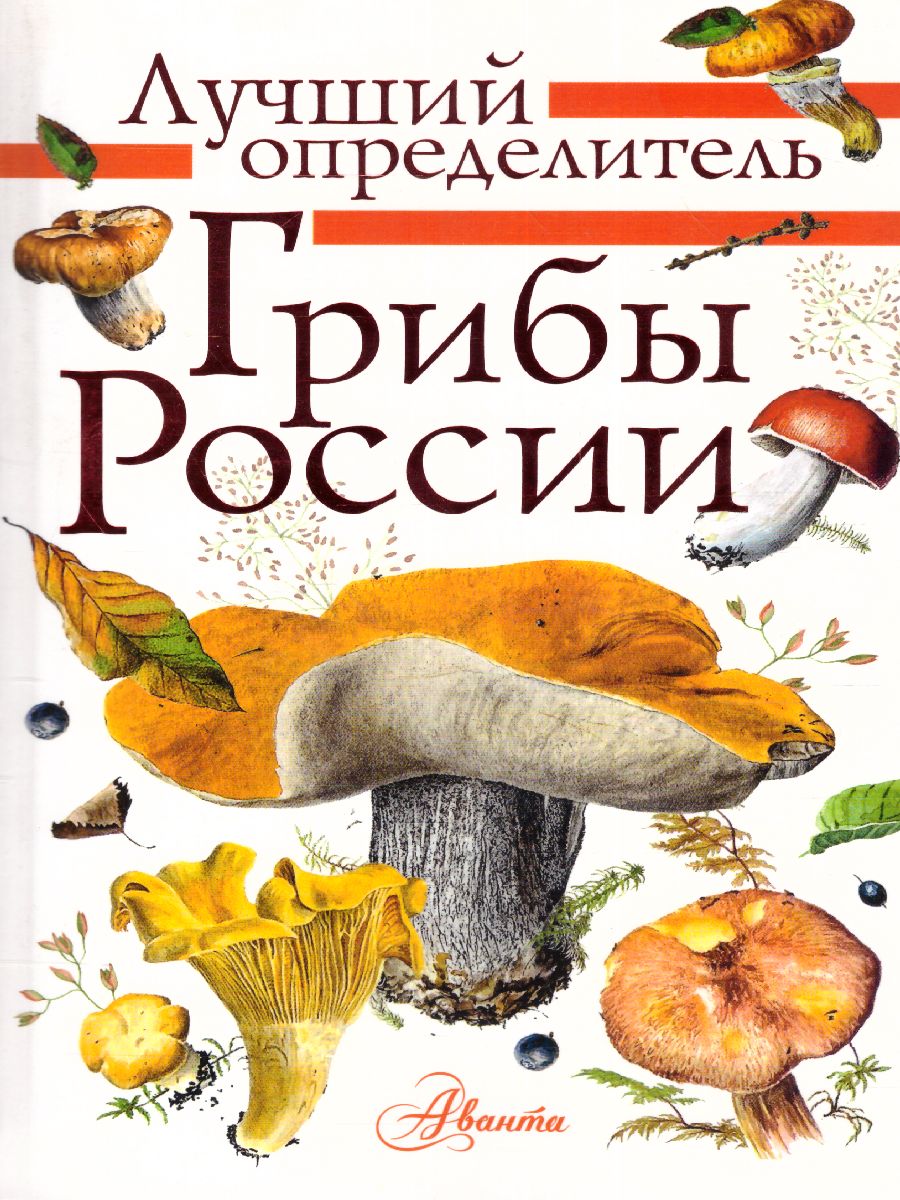 Обложка книги Грибы России. Определитель. Кривошеев С.В. /ЛучшийОпределитель, Автор Кривошеев С.В., издательство АСТ | купить в книжном магазине Рослит